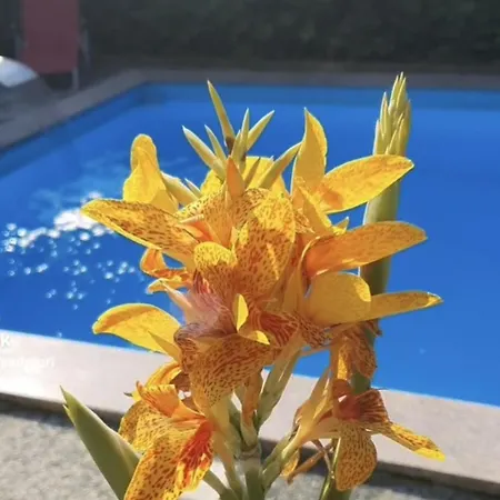 Apartamento Murko P-3 *