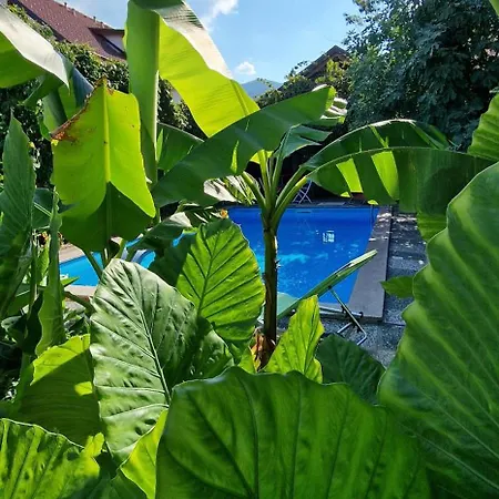 Διαμέρισμα Murko P-3