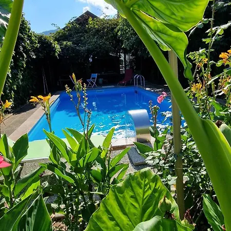 Murko P-3 Apartamento *