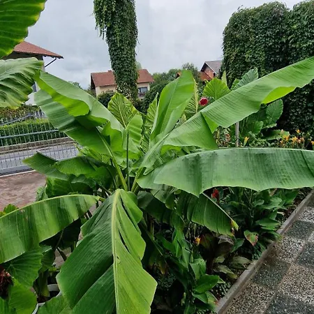 Apartamento Murko P-3