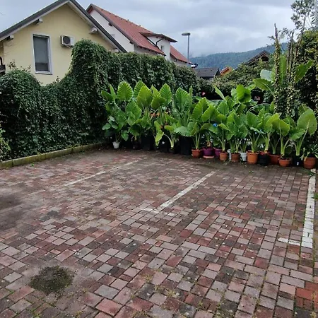 Apartment Murko P-3