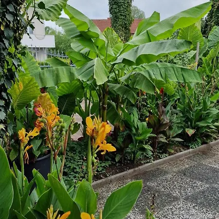 Διαμέρισμα Murko P-3 Brest