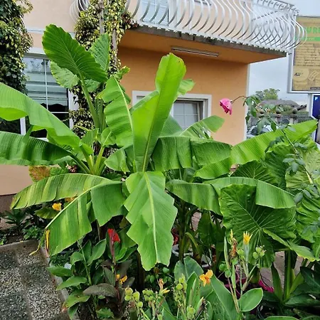 Murko P-3 Διαμέρισμα