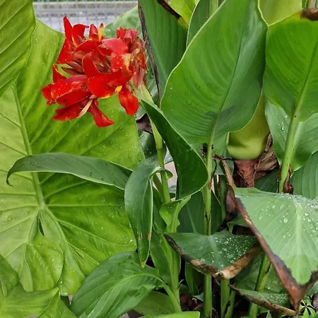 Apartamento Murko P-3 Brest