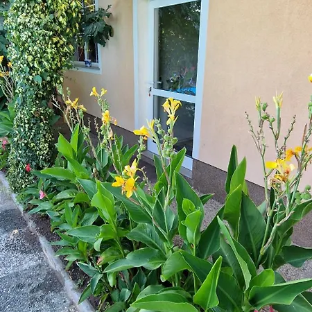 Διαμέρισμα Murko P-3