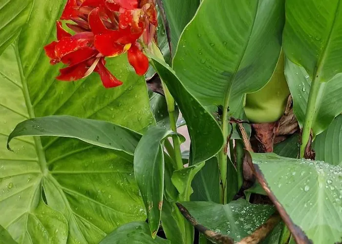 アパート Murko P-3 Brest