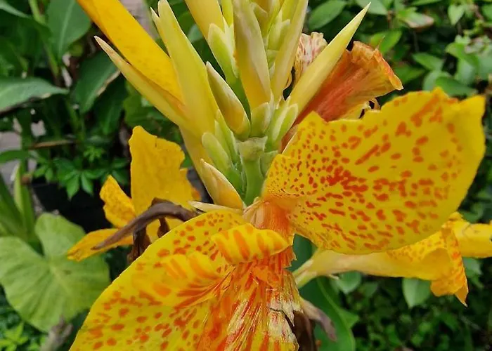 アパート Murko P-3